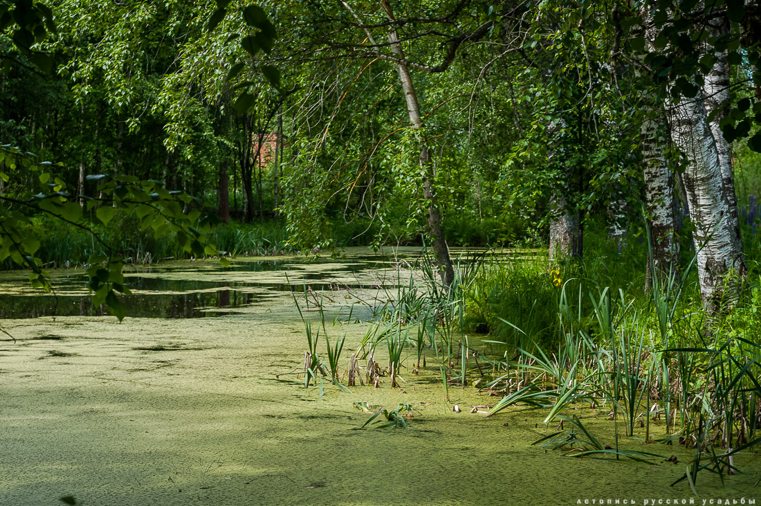 Талдом. Усадьба Клычкова