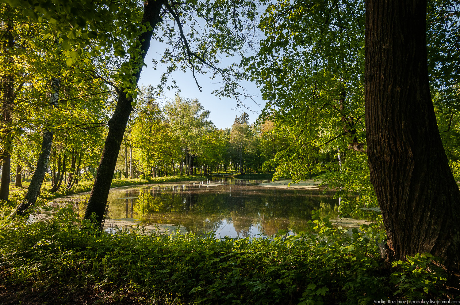 усадьба Воронино