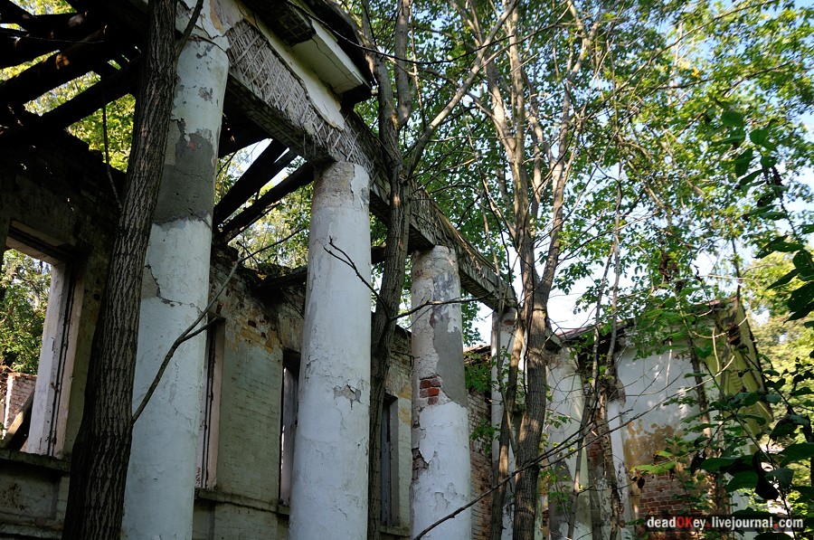 усадьба Денежниково