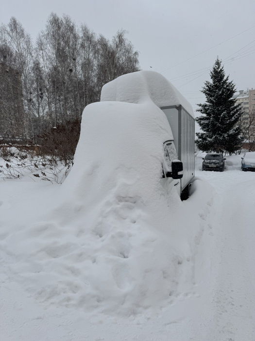 scale_2400 (1) (525x700, 270Kb)