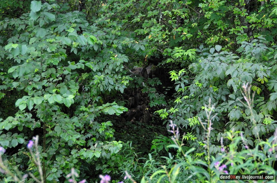 усадьба Верхоляне