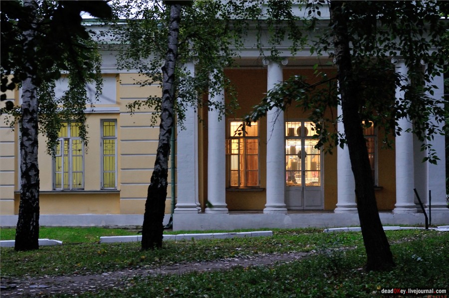 усадьба Строганова Дача