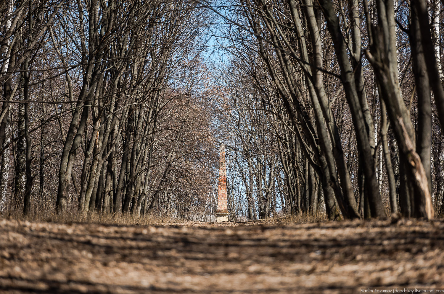 Богородицк, Церерина роща