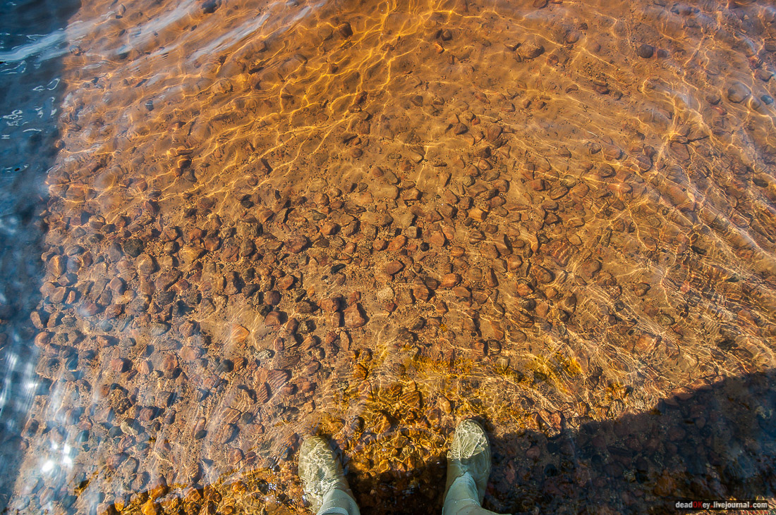 Россия, Карелия, Кондопожский район, Вендеры, Сяпчозеро, Спасская Губа