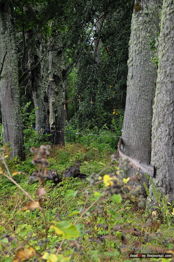 усадьба Верхоляне