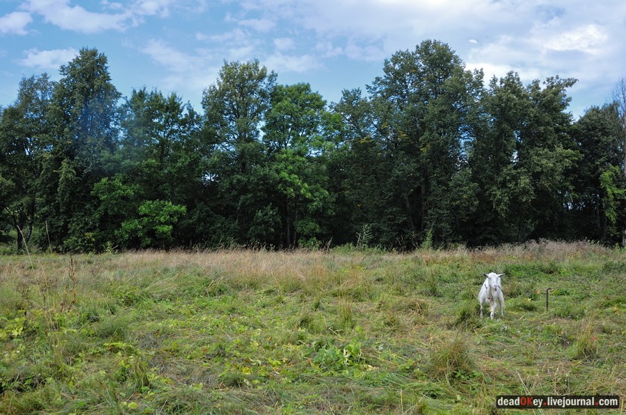 усадьба Верхоляне
