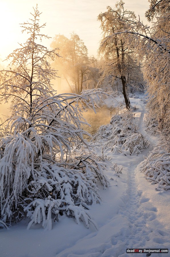 усадьба Красково