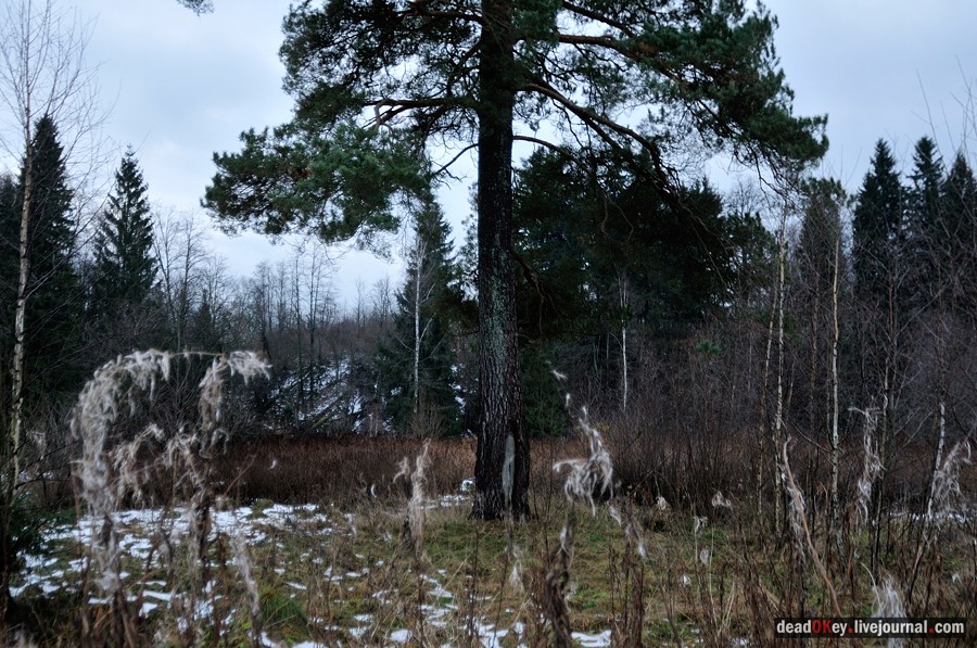 усадьба Ахтырка