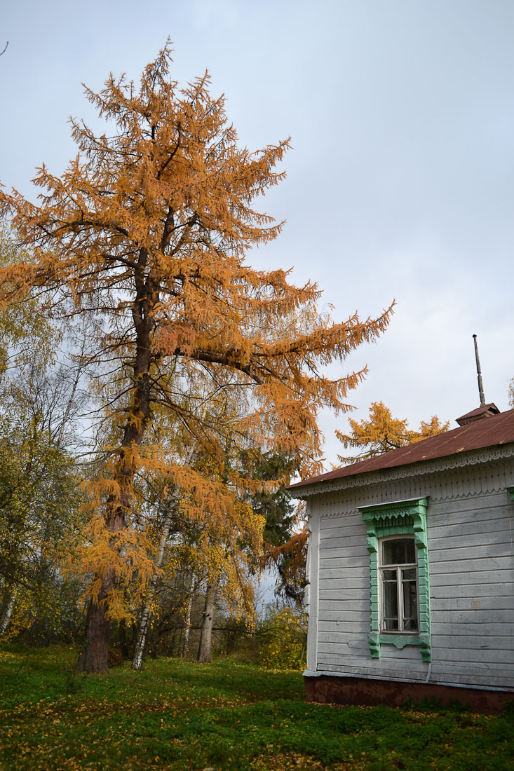 усадьба Рихтер