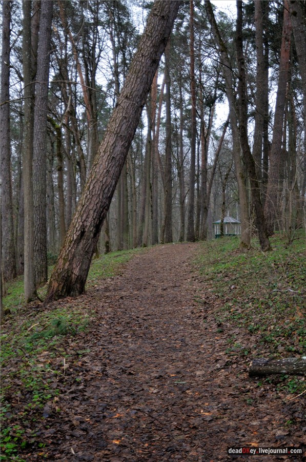 усадьба Полотняный Завод Гончаровых