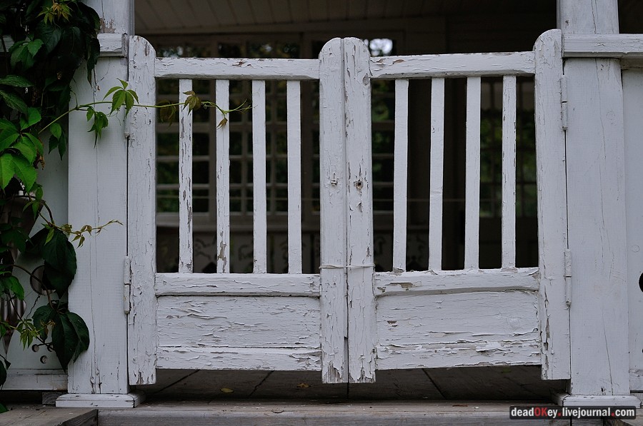 усадьба Ясная Поляна