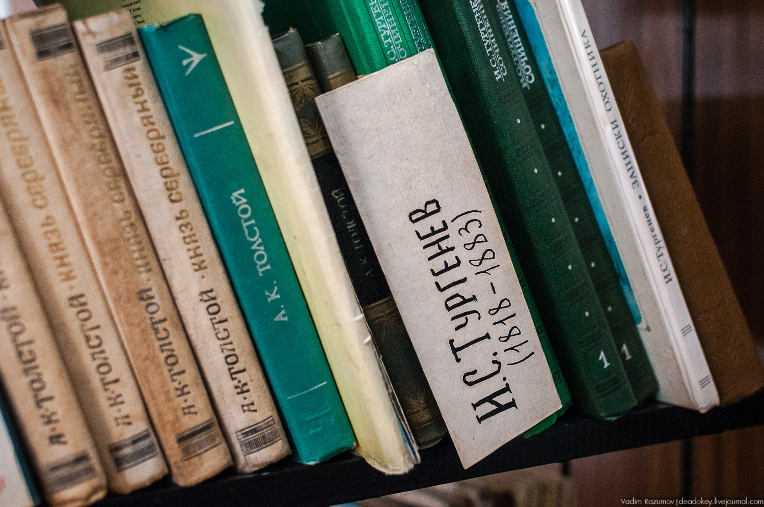 Тургеневские места, юбилей Тургеневу, открытие памятника, музею, Остоженка, 200 лет писателю