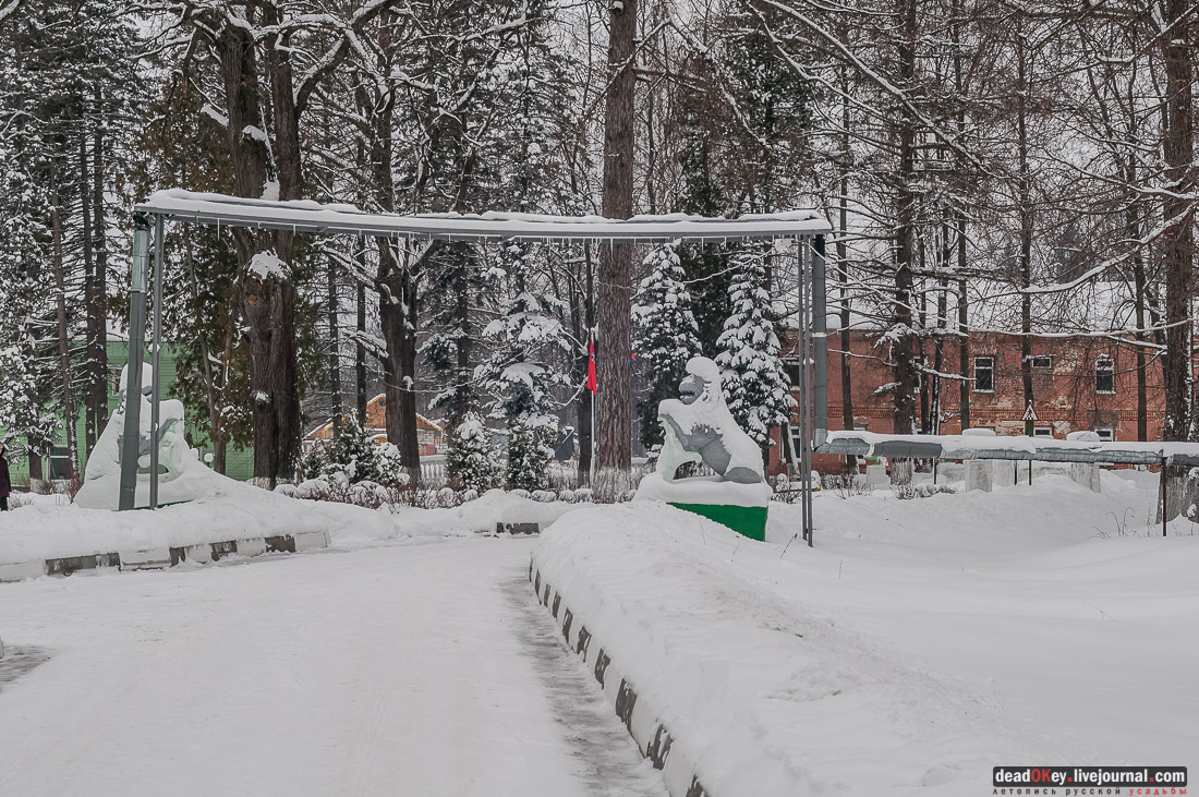 усадьба Васильевское-Скурыгино