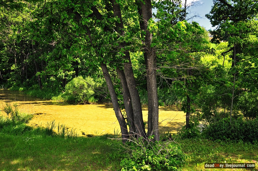 усадьба Братцево