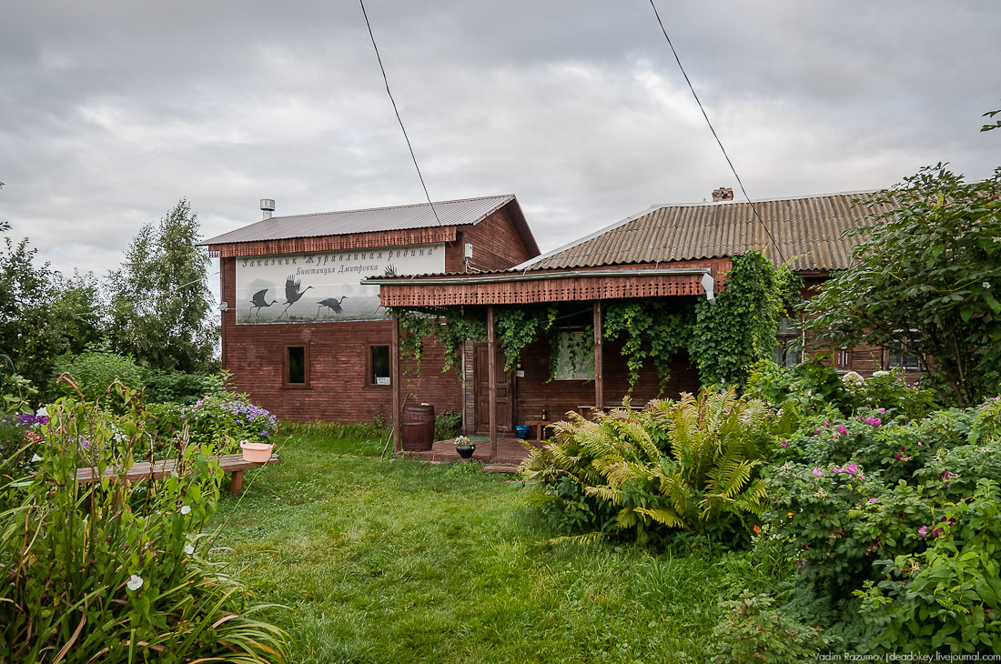 Экоэлектричка. В Талдом на Cовиный ФЕСТ!