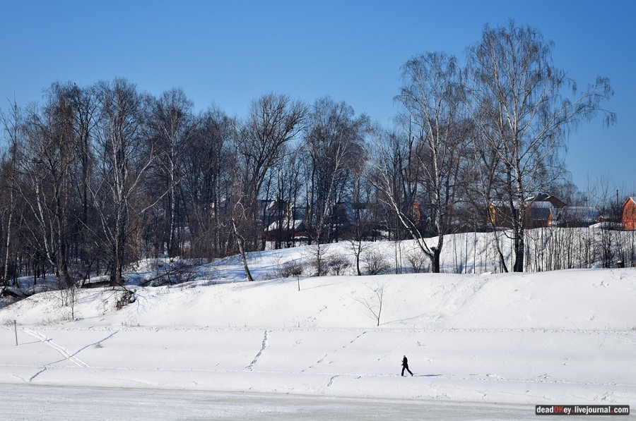 усадьба Старбеево