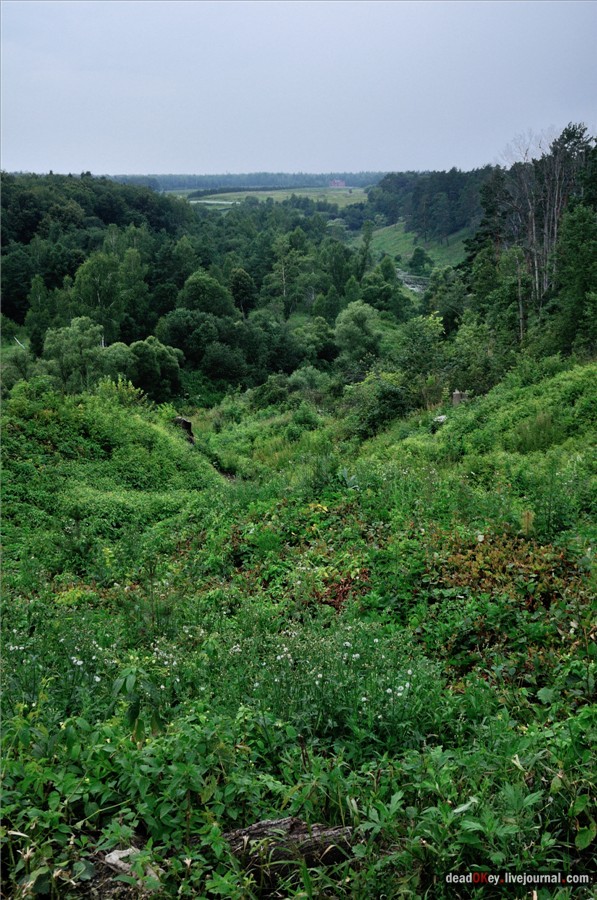 усадьба Поливаново