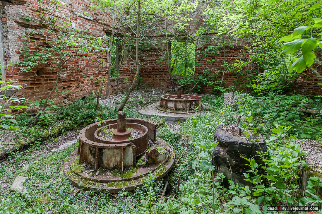 усадьба Коленцы