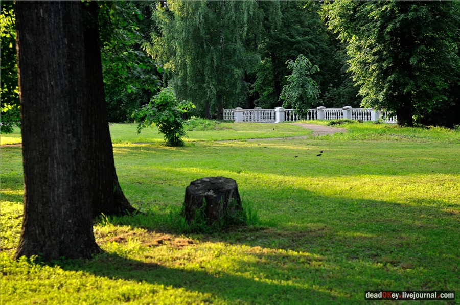 усадьба Грачевка (Ховрино)