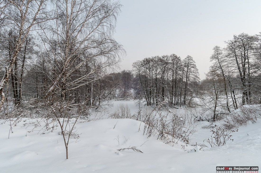 усадьба Васильевское-Скурыгино