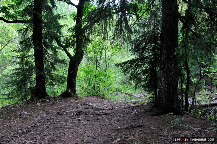 усадьба Алмазово