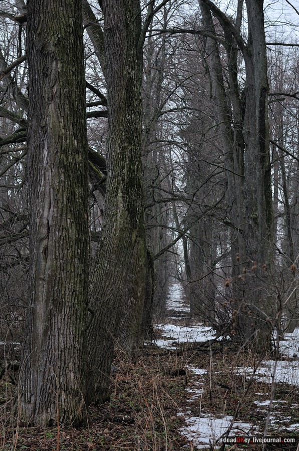 усадьба Иславское