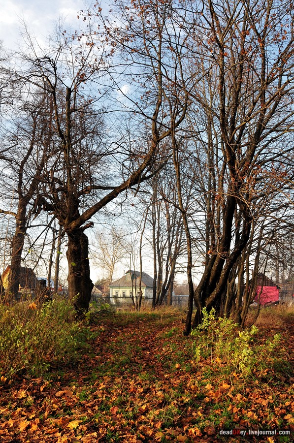 усадьба Бережки