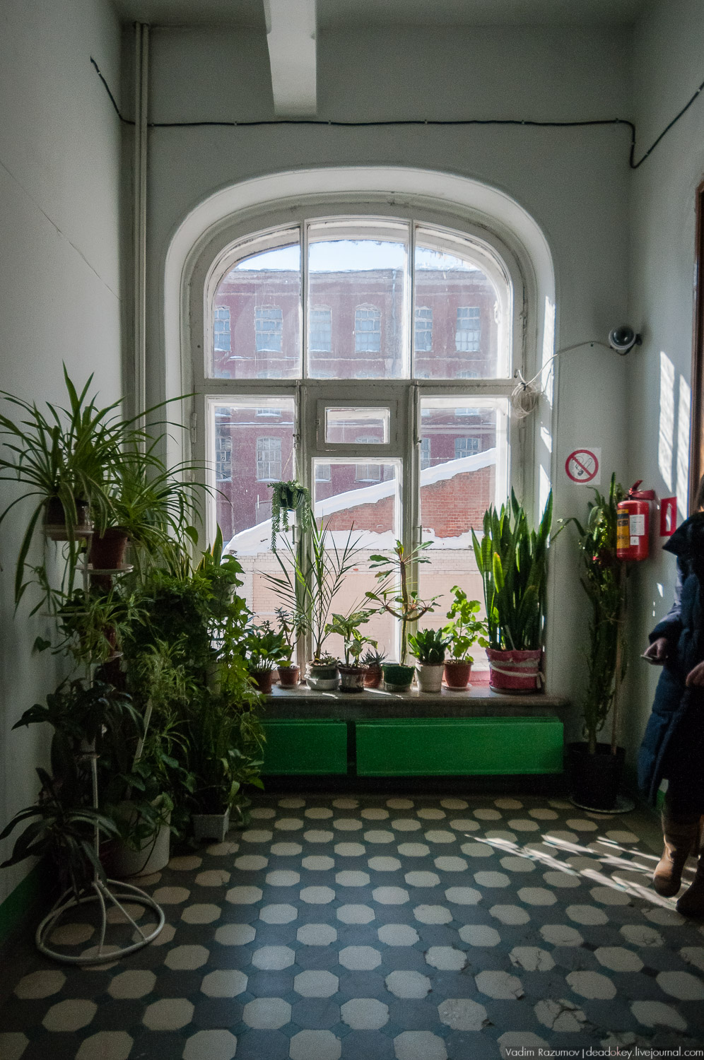 фабрика Раменское