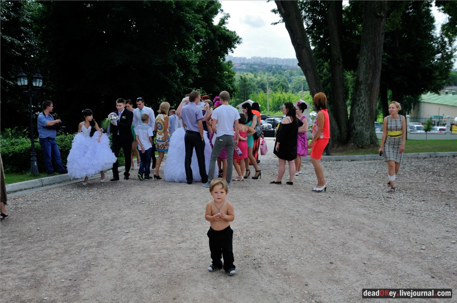 усадьба Дубровицы