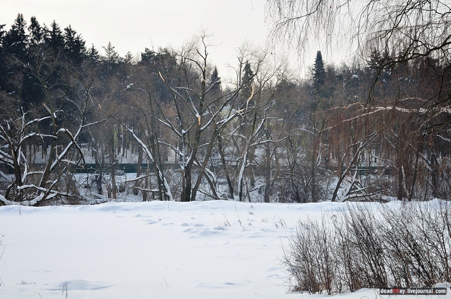 усадьба Котляково