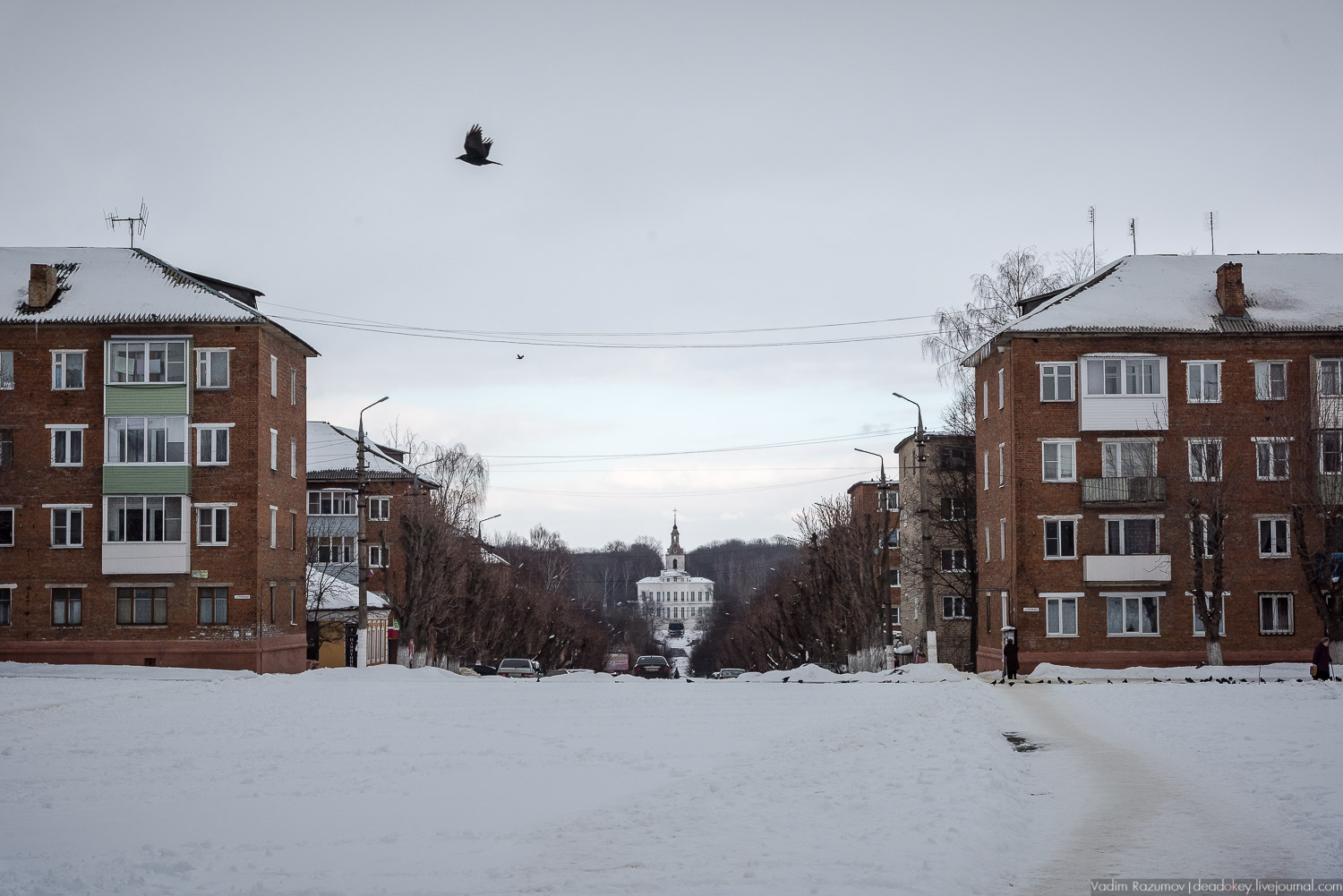 Богородицк, 5 лучей