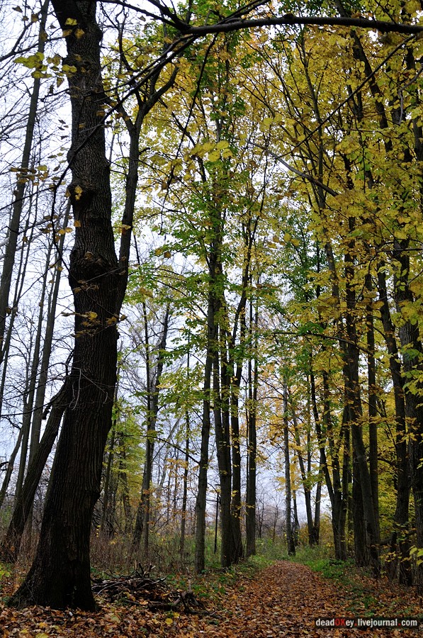 усадьба Глинки