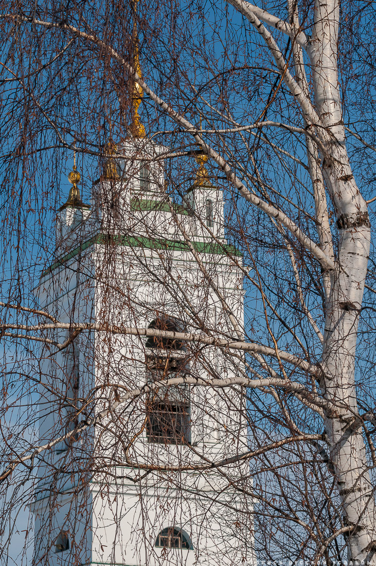 усадьба Константиново