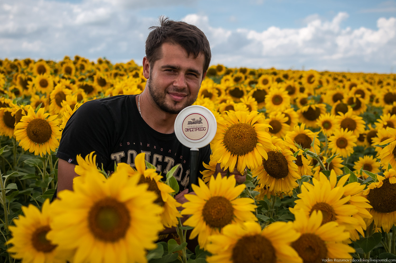 Липецкие усадьбы, Баловнево, Полибино, путешествие, экскурсия Усадебный экспресс