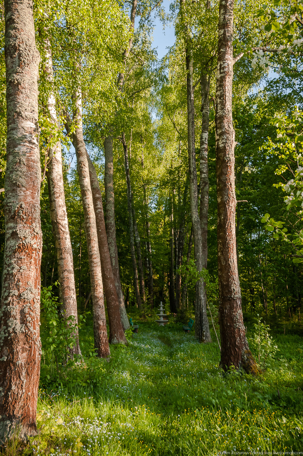 усадьба Воронино