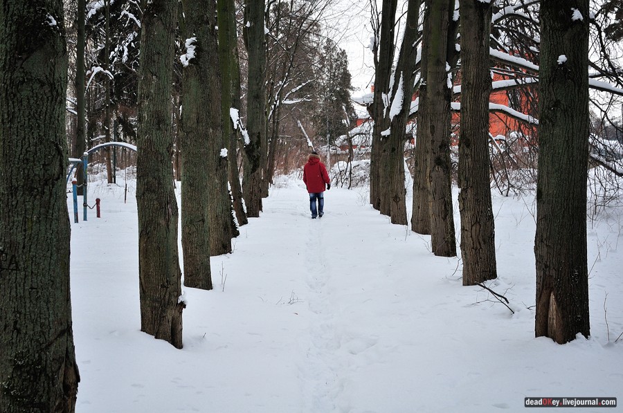 усадьба Дугино
