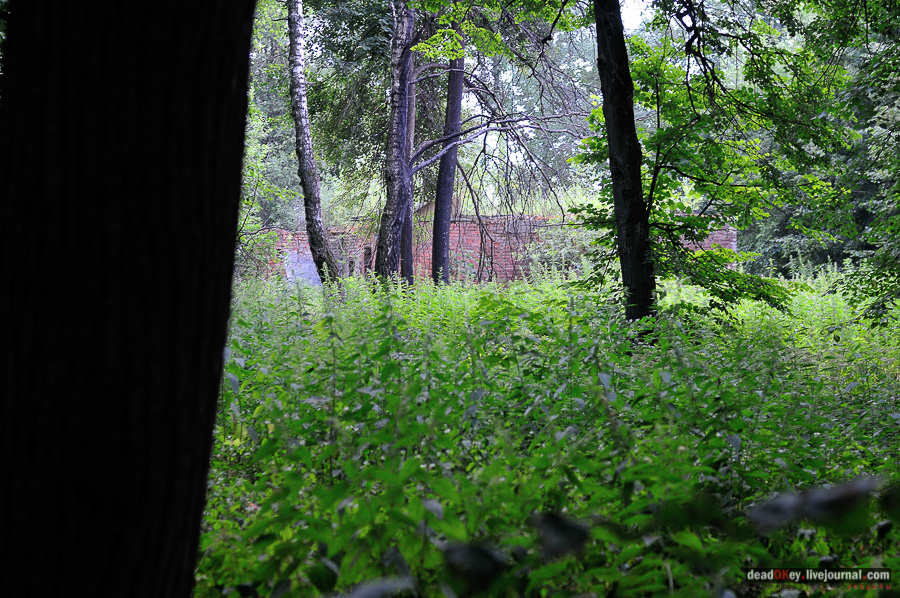 усадьба Матыра