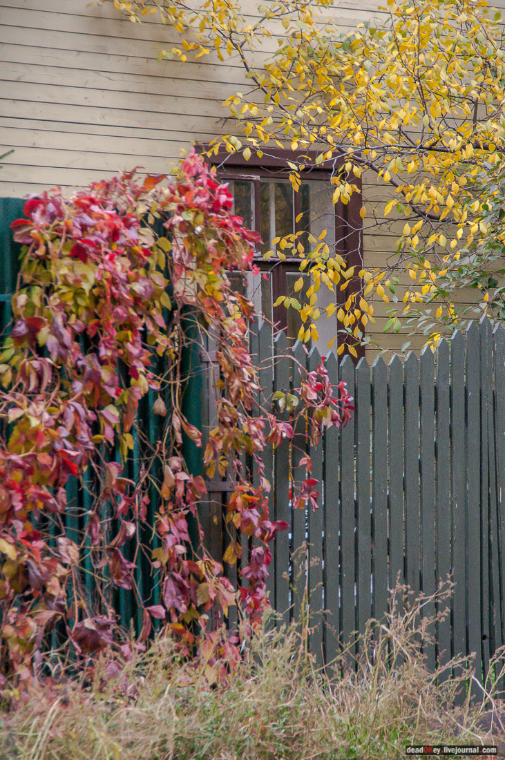 кооперативный поселок Сокол, поселок художников, Москва