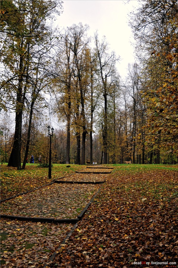 усадьба Марфино