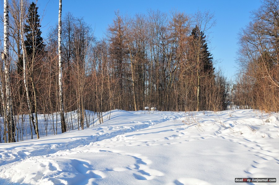 усадьба Архангельское-Тюриково