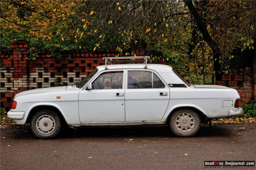 усадьба Марфино