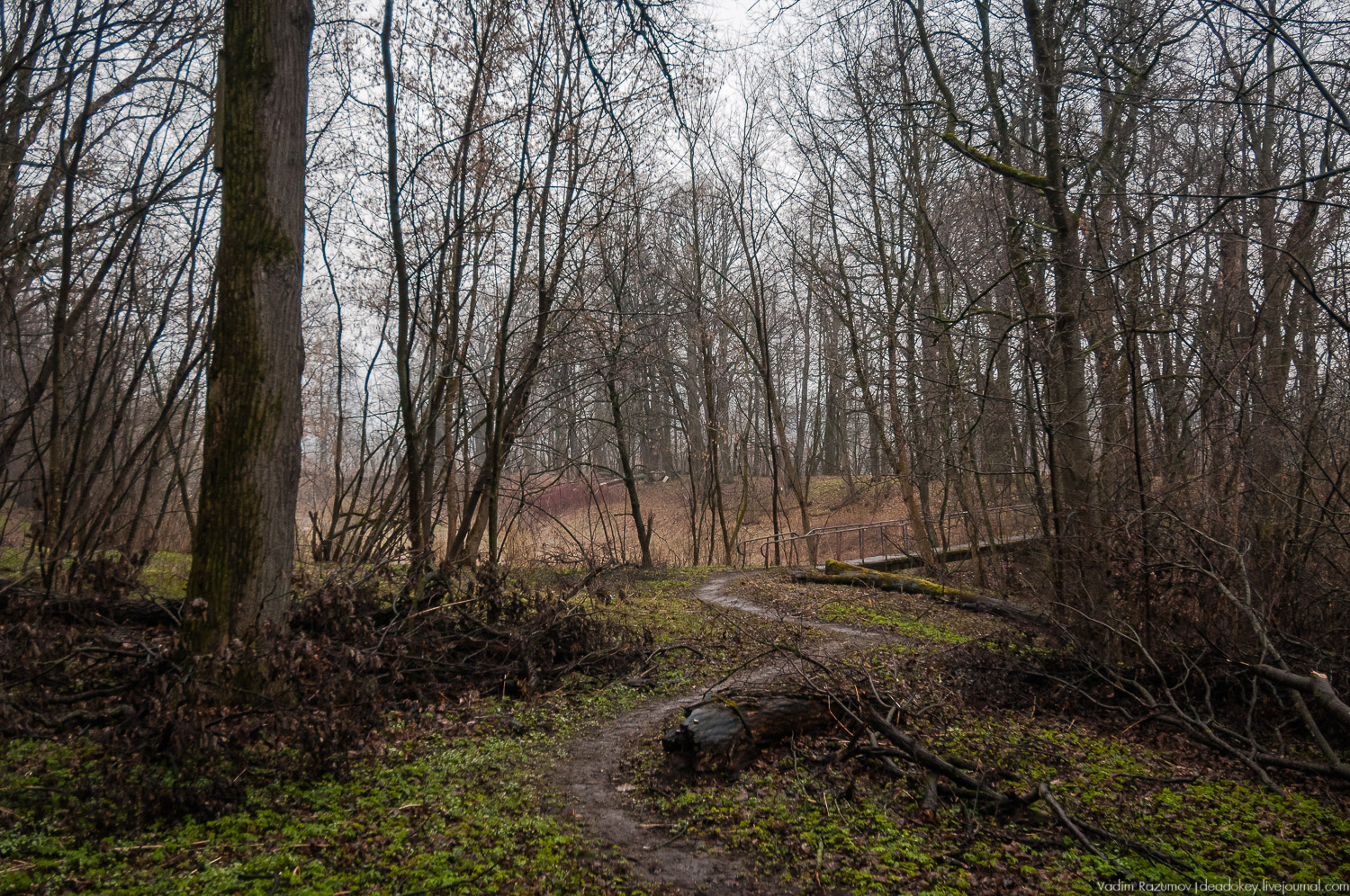 усадьба Петрово (Дурнево, Петрово-Дальнее), Красногорский район, Московская область