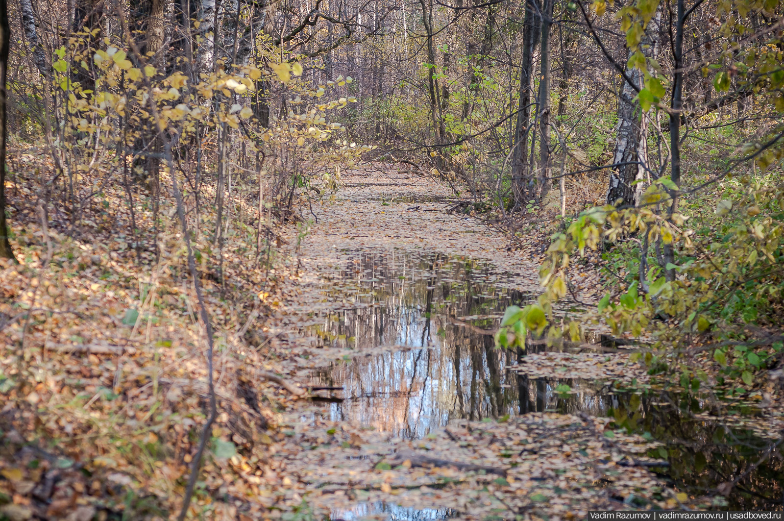 Терлецкий парк, усадьба Гиреево, Новогиреево, Перово