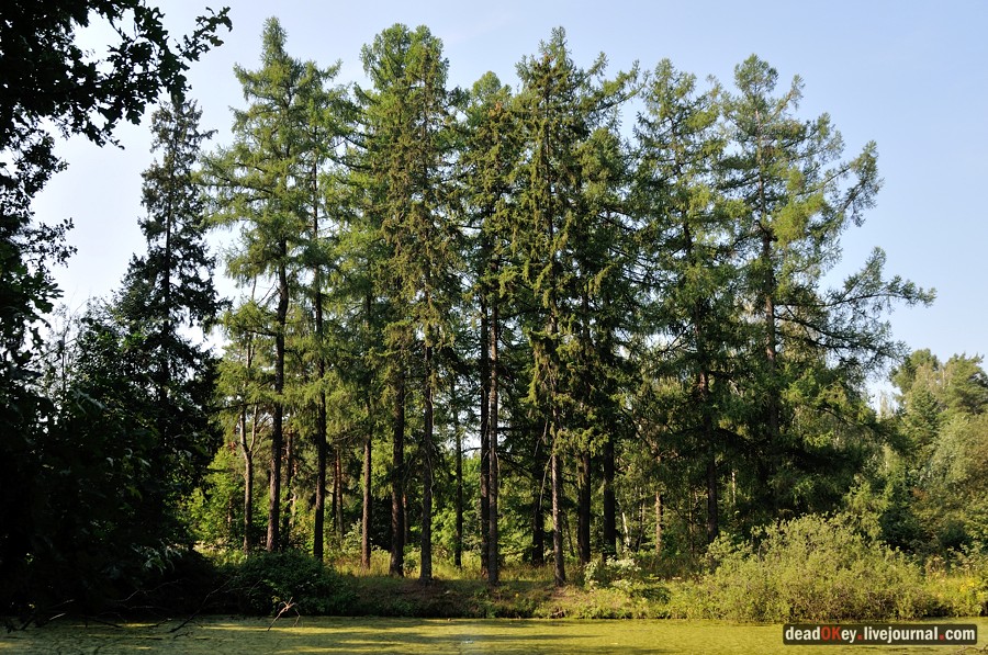 усадьба Пронино