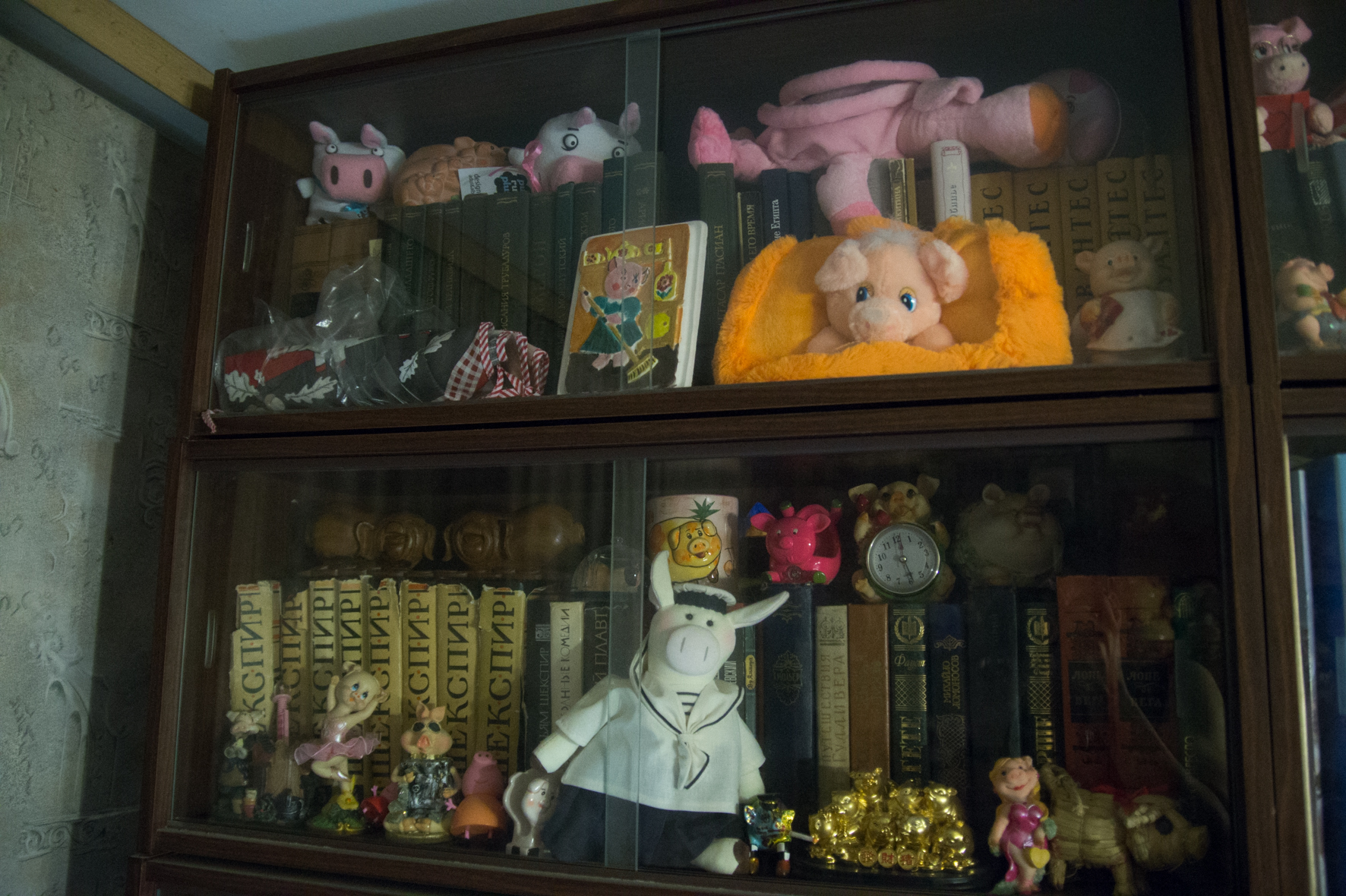 Свиньи, музей свиней