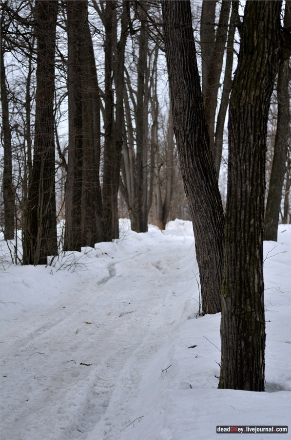 усадьба Ельдигино