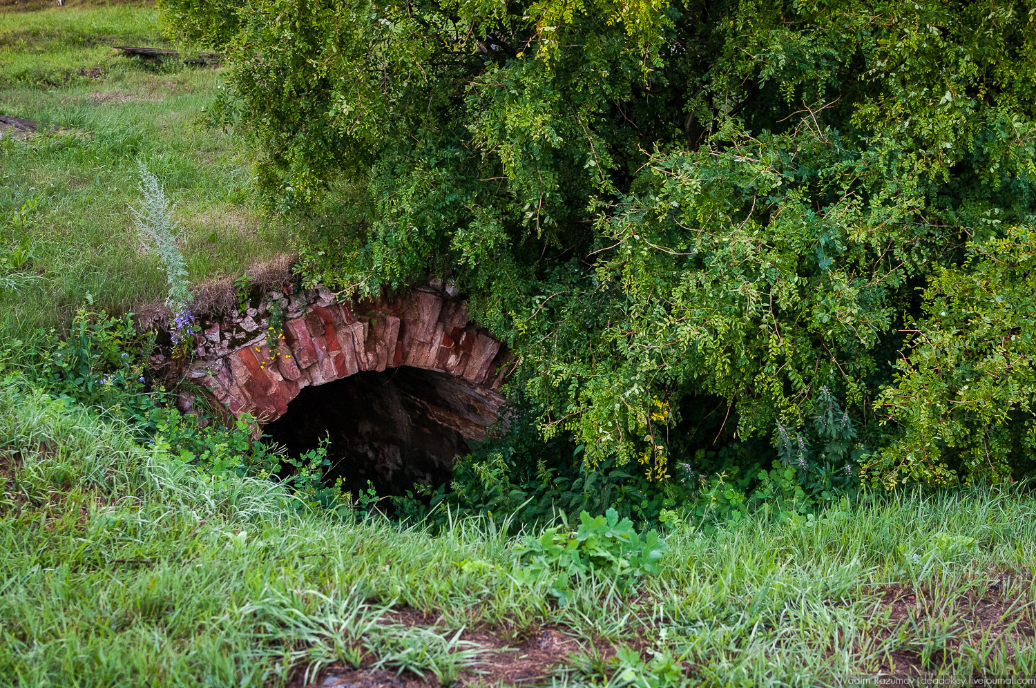 Гремячка, Рязанка, Урусово - тропа Семенова-Тян-Шанского