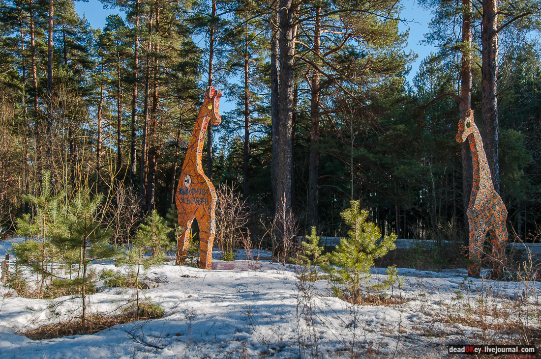 ПИОНЕРСКИЙ ЛАГЕРЬ ДРУЖБА ИМ. А.П. ГАЙДАРА