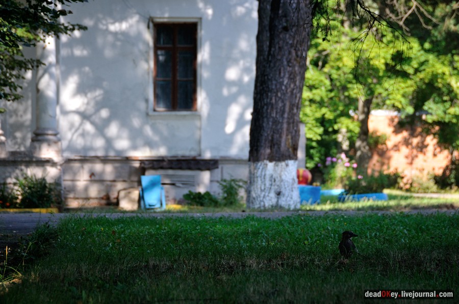 усадьба Денежниково