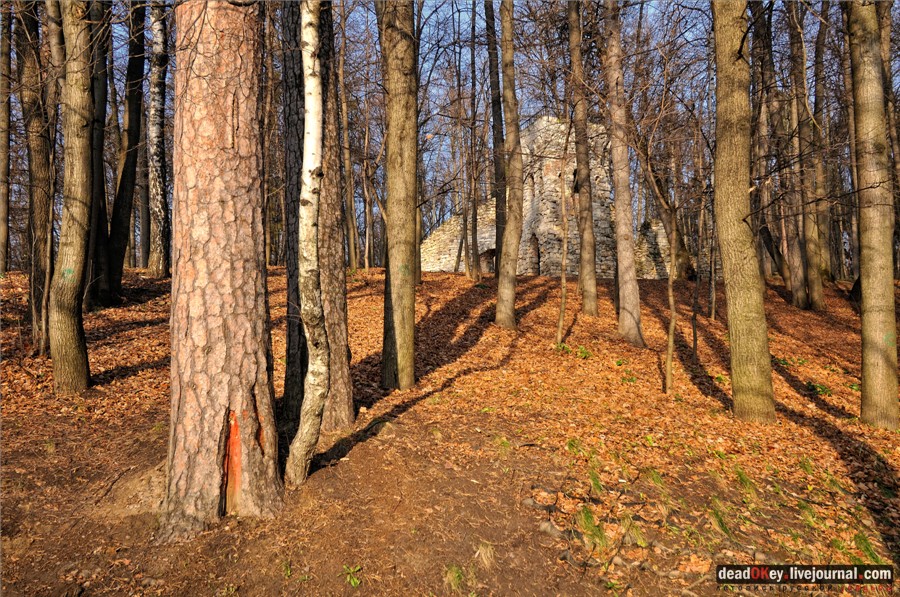 усадьба Царицыно